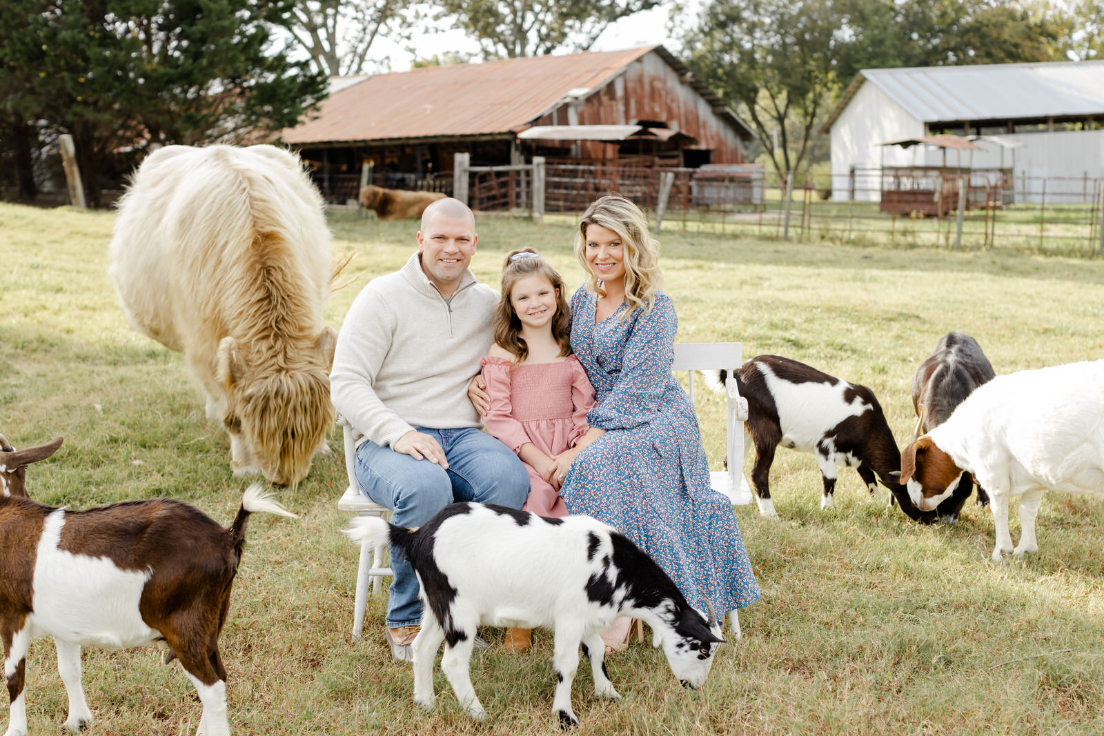 Family sitting on a bench at Mini Moo Ranch surrounded by animals in front of rustic barns